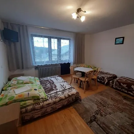 Jaworzynka מלון *